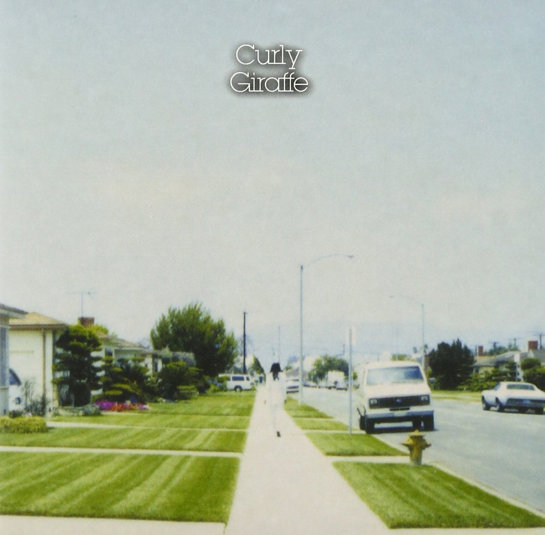 Amazon.co.jp: Curly Giraffe: ミュージック